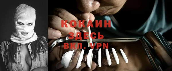 a pvp Магас