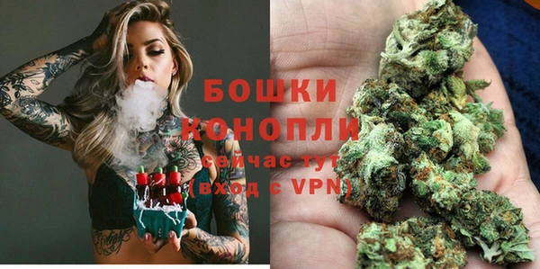 a pvp Магас