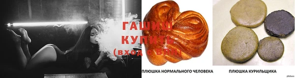 a pvp Магас